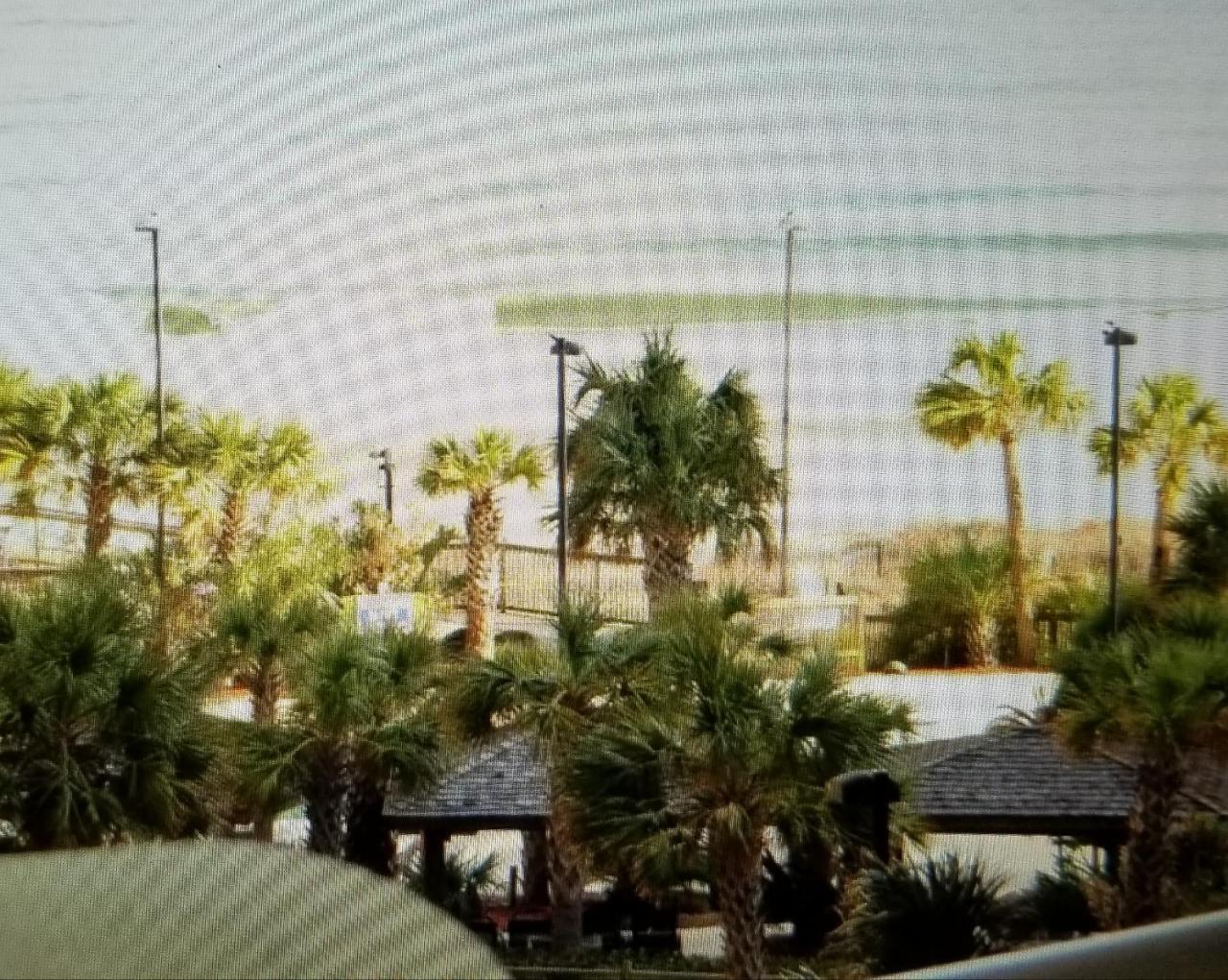 Royal Palms Apartment Briarcliffe Acres Buitenkant foto